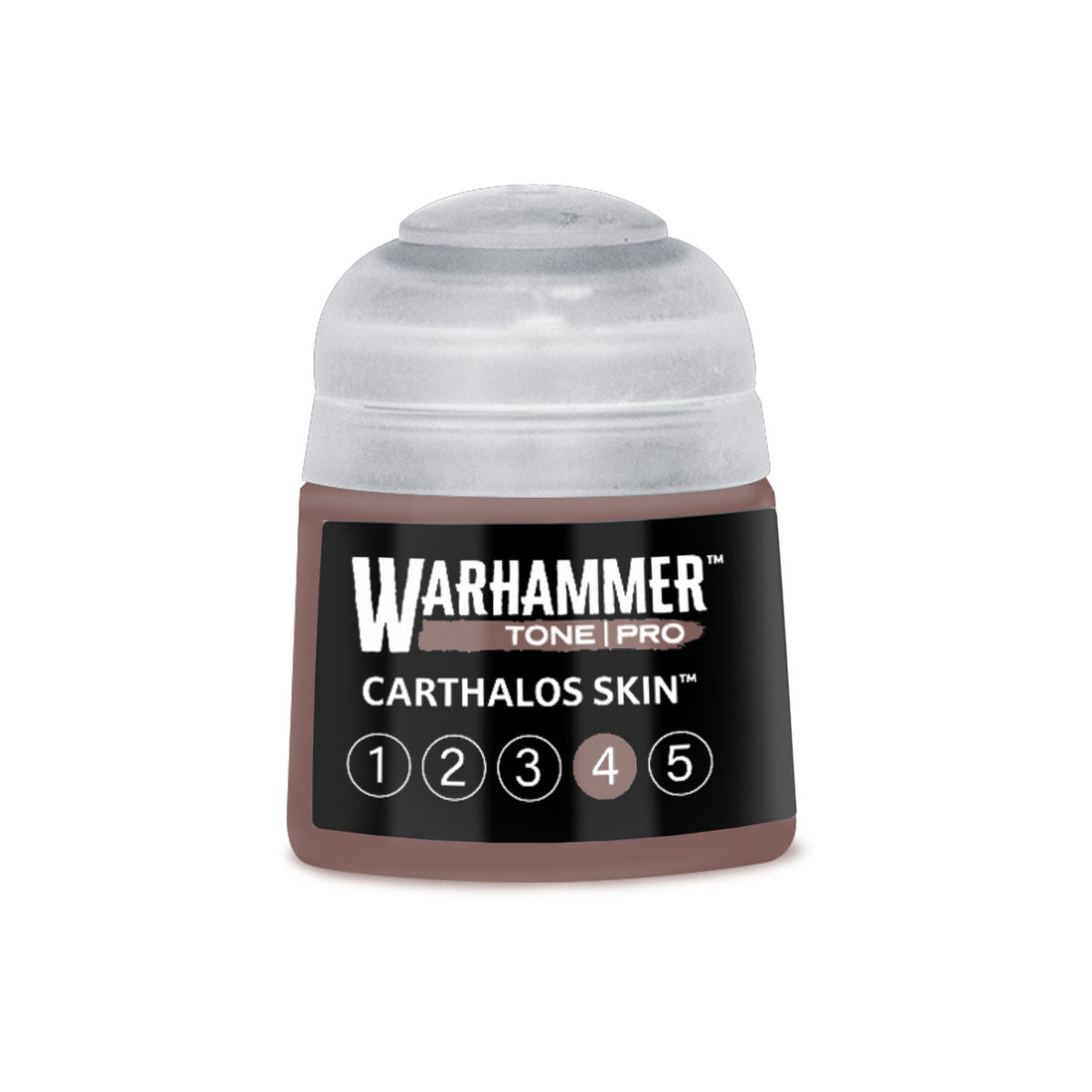 Tone Pro Paint: Carthalos Skin 4