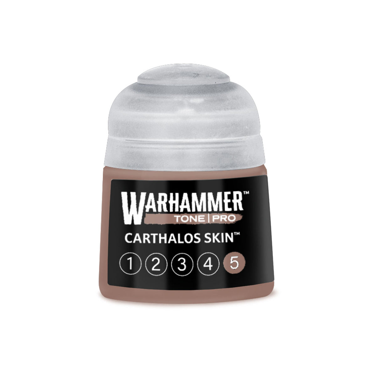 Tone Pro Paint: Carthalos Skin 5