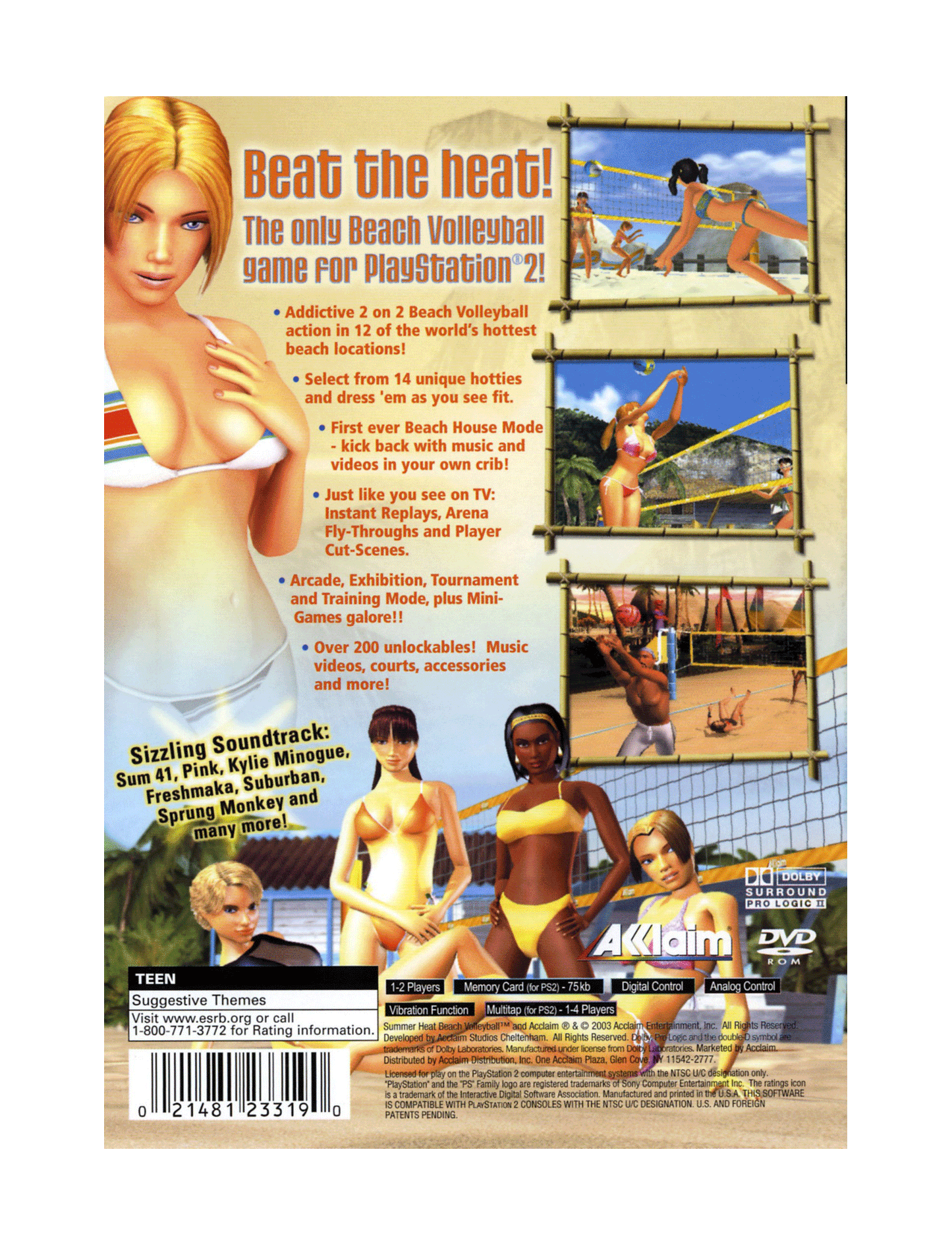 Summer Heat Beach Volleyball (cib)