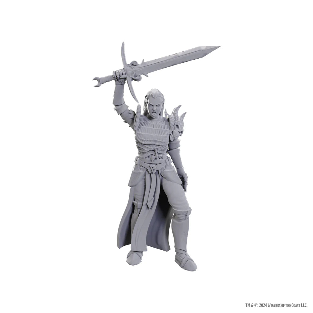 D&D Nolzur's Marvelous Miniatures Blackguard 90772
