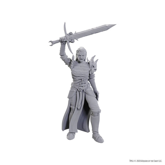 D&D Nolzur's Marvelous Miniatures Blackguard 90772