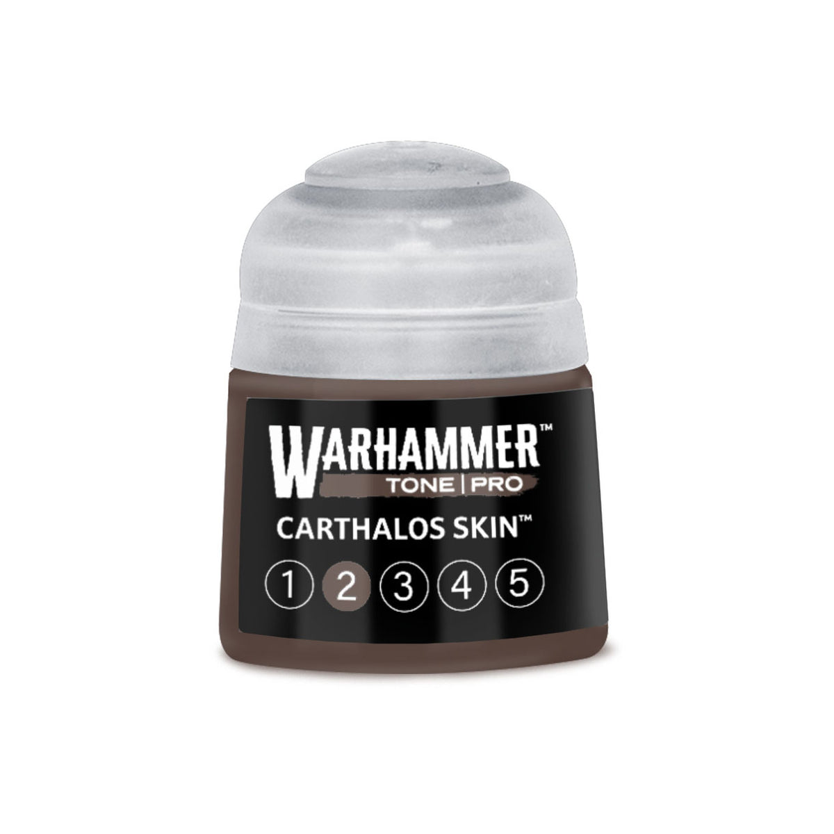 Tone Pro Paint: Carthalos Skin 2
