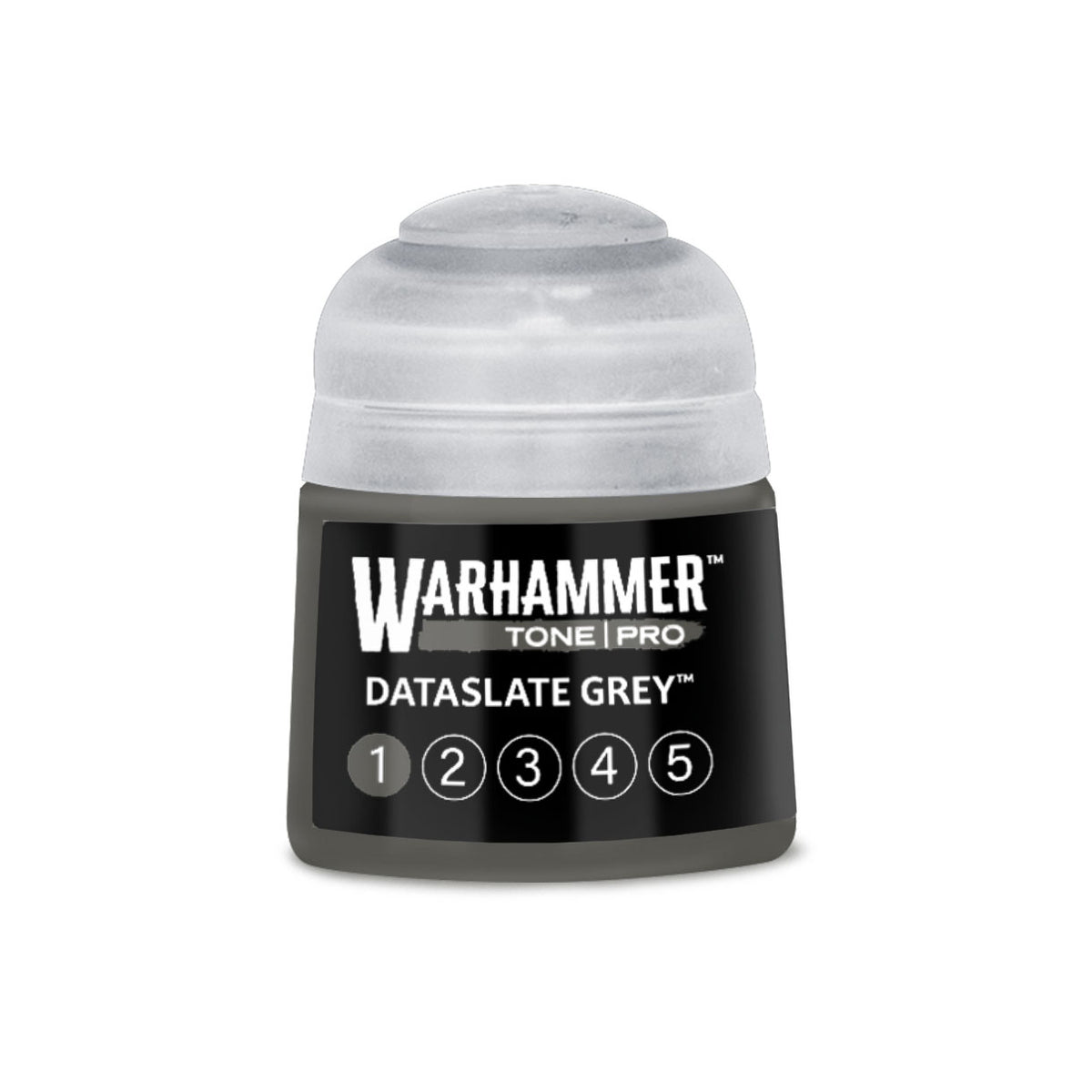 Tone Pro Paint: Dataslate Grey 1