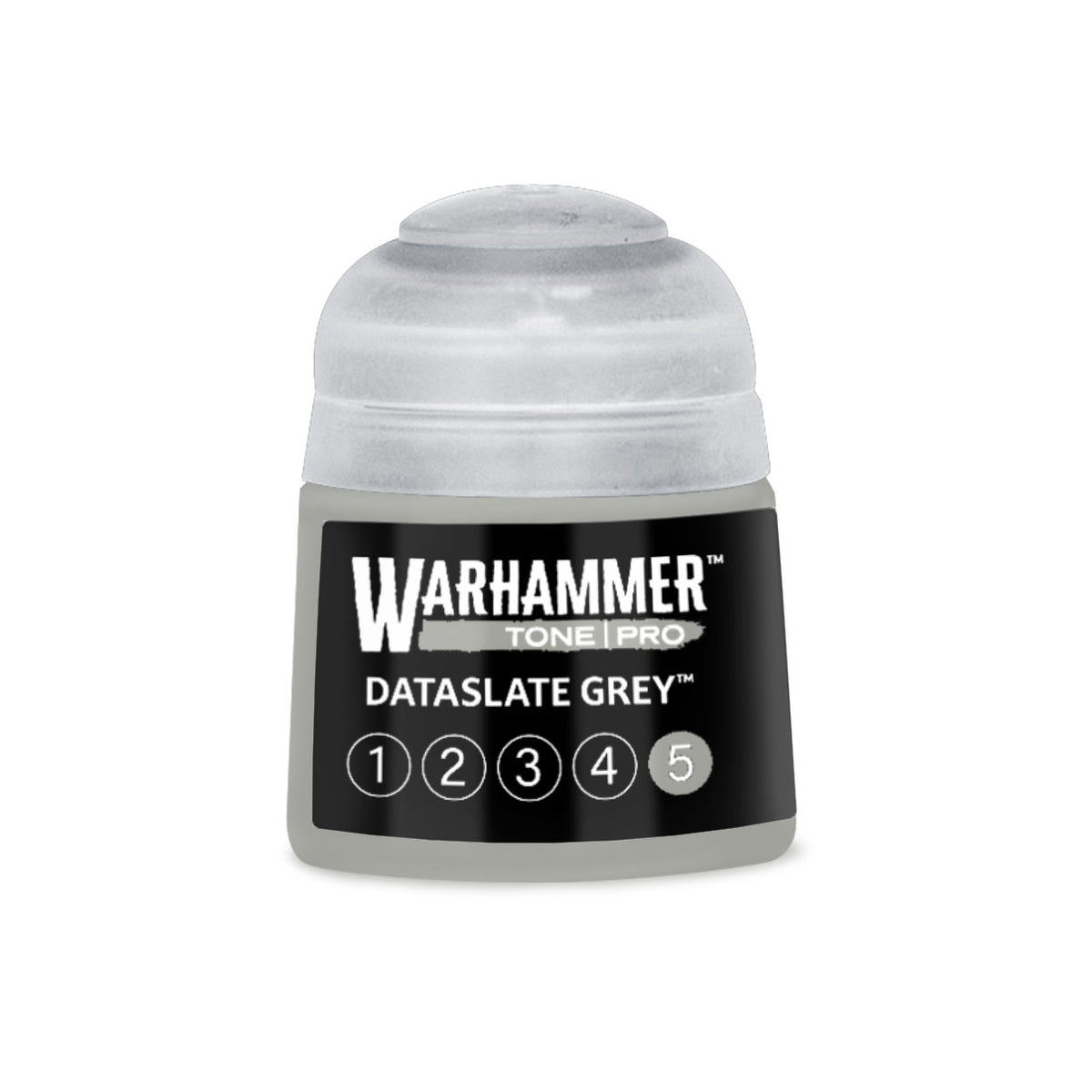 Tone Pro Paint: Dataslate Grey 5
